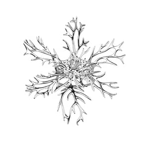(NEW) Vanda Miss Joaqium ring