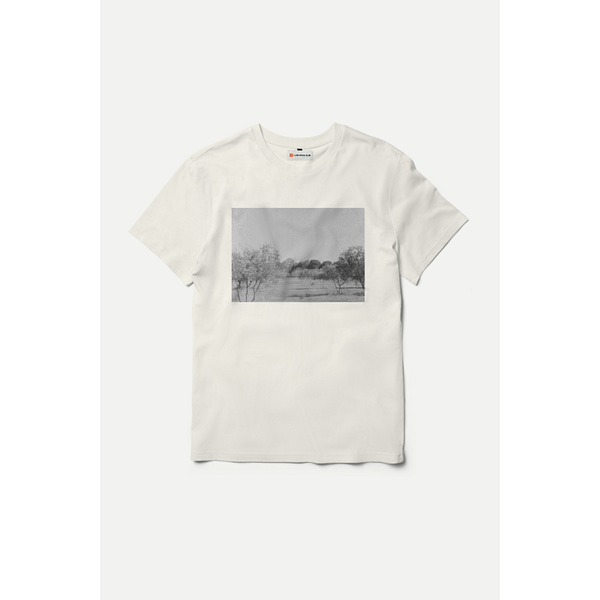 Olive Grove T-shirt (Unisex)
