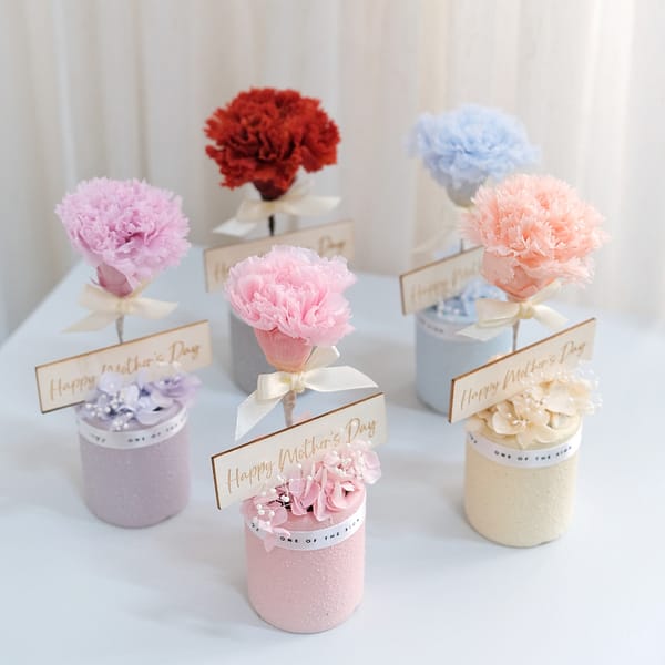 Happy Mother's Day - Preserved Carnation Decoration XS
